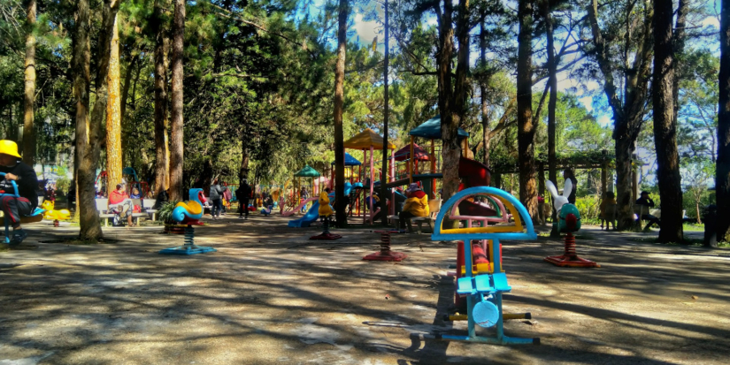 Итоги детской оздоровительной кампании подвели в Псковской области - 2025-12-08 10:35:00 - 1