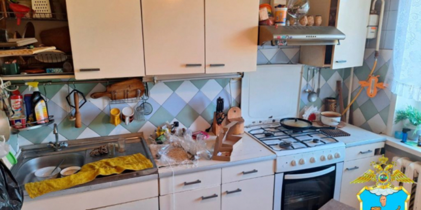 В Невеле ликвидирован наркопритон - 2025-12-09 12:05:00 - 1