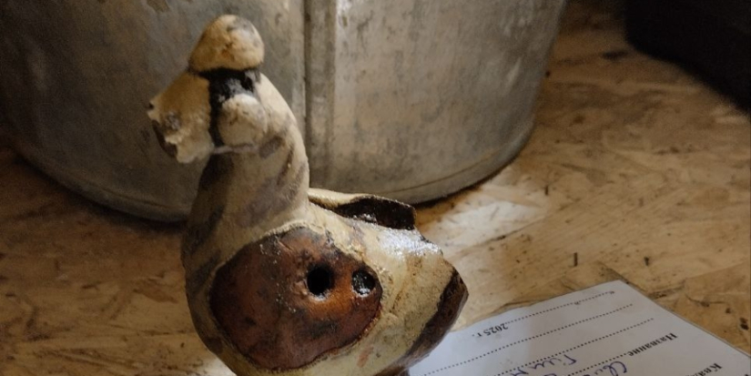 Хорошо сохранившуюся птичку-свистульку нашли археологи в Пскове - 2025-12-09 14:35:00 - 1