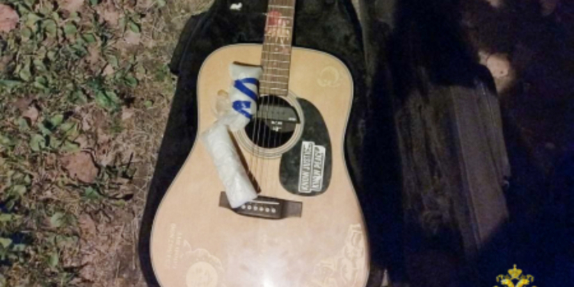Петербуржец, задержанный в Псковском районе, вез наркотики в гитаре - 2025-12-11 12:05:00 - 1