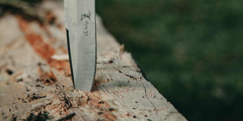 За убийство мужа жительницу Дно отправили в колонию - 2025-12-11 15:35:00 - 1