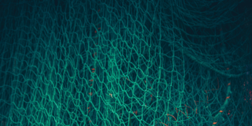 В Гдовском районе поймали браконьера - 2025-12-15 14:35:00 - 1