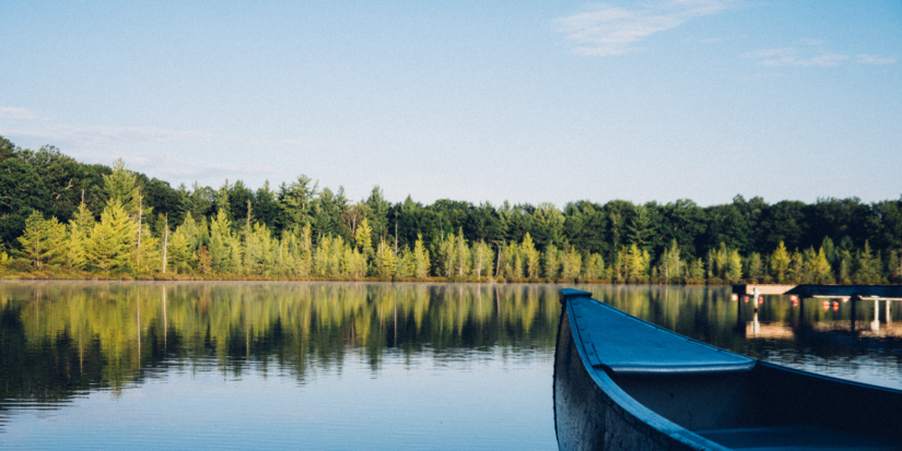 Погибший лес на Байкале разрешили вырубить - 2025-12-31 15:05:00 - 1