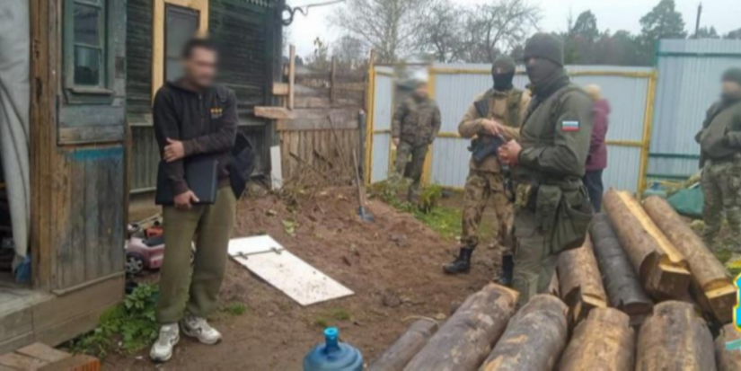 Житель Гдовского района выращивал дома коноплю - 2025-12-18 09:05:00 - 1