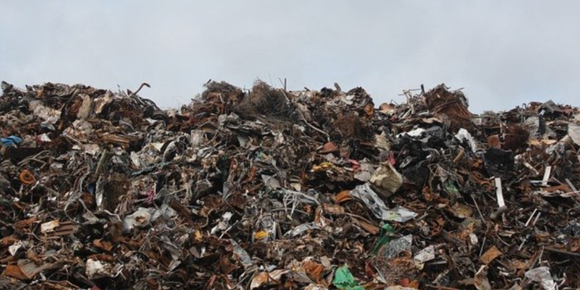 Псковская прокуратура добилась ликвидации свалок в лесу - 2025-12-18 12:35:00 - 1