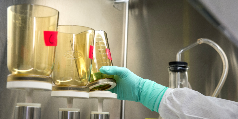 Количество созданных в России изобретений достигло минимума за 20 лет - 2026-01-03 19:05:00 - 1