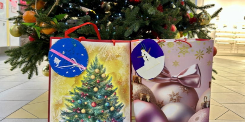 Великолукские полицейские и общественники провели «Ёлку желаний» - 2025-12-26 17:35:00 - 1