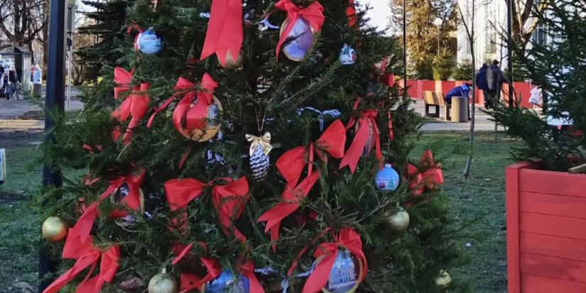 Фотографии Великих Лук украсят «Аллея муниципалитетов» в Пскове - 2025-12-29 11:35:00 - 1