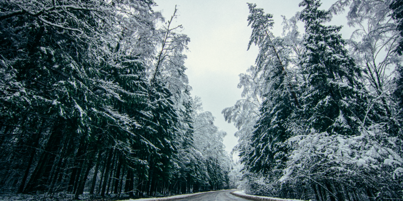 Энергетики работают в особом режиме из-за непогоды в регионе - 2026-01-04 12:05:00 - 1