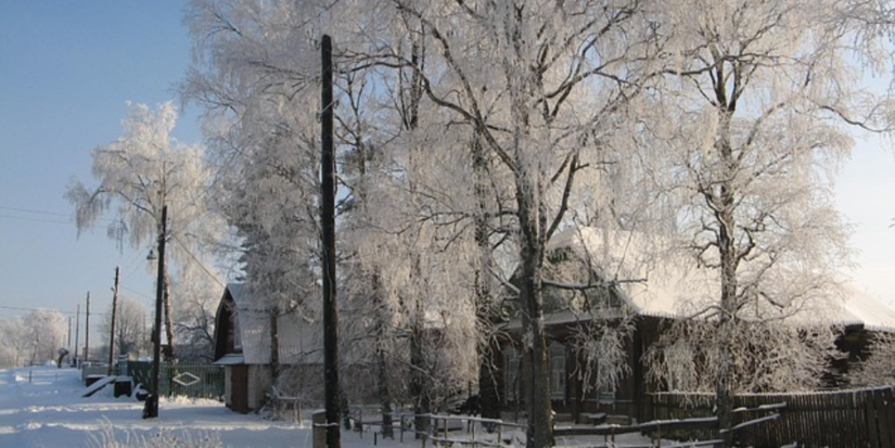 Почти 600 тысяч россиян выбрали деревни для подключения к мобильной связи - 2026-01-06 15:05:00 - 1