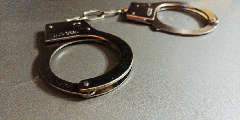 В Пскове сотрудники Росгвардии задержали подозреваемую в краже - 2026-01-07 16:02:00 - 1