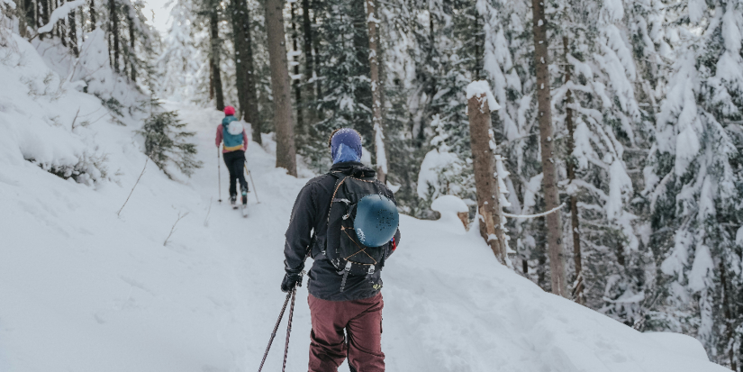 В честь освобождения Великих Лук пройдет патриотический лыжный переход - 2026-01-07 15:05:00 - 1