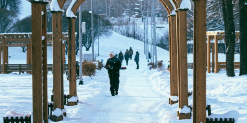 Зимние обои для ваших телефонов подготовили iluki.ru - 2026-01-19 13:35:00 - 1