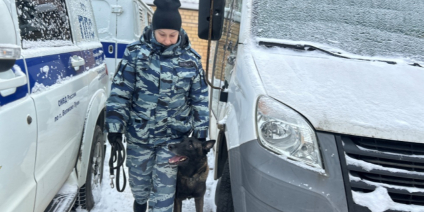 Акция «Студенческий десант» продолжается в Великих Луках - 2026-01-22 11:05:00 - 1