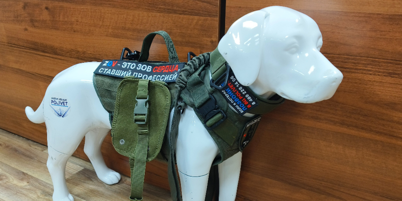 Росгвардейцы учились оказывать первую ветеринарную помощь служебным собакам - 2026-01-27 14:05:00 - 1