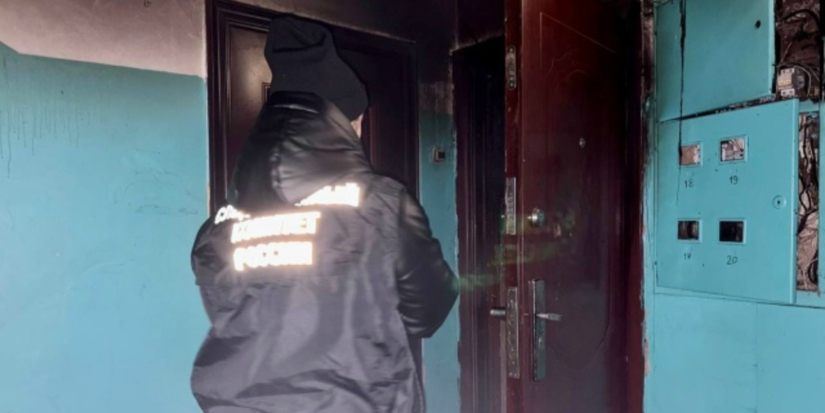 За прошедшую неделю четыре человека погибли на пожарах в Псковской области - 2026-01-28 09:35:00 - 1