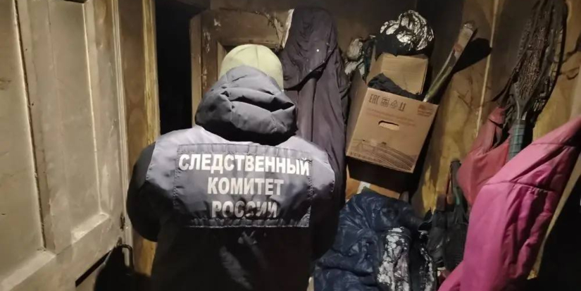 В Великих Луках выясняют обстоятельства пожара, на котором погиб человек - 2026-02-04 10:05:00 - 1