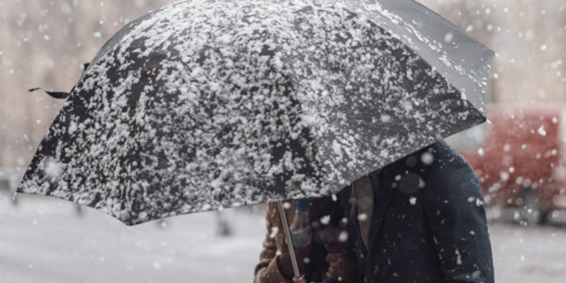 Сильный снегопад ожидается в Великих Луках - 2026-02-06 10:35:00 - 1