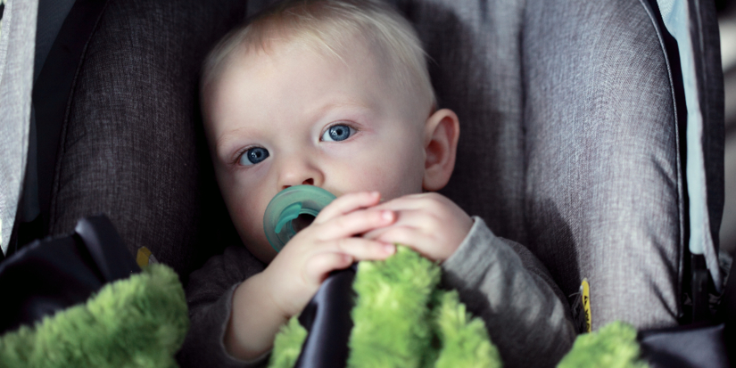 Великолучанам напомнили о необходимости пристегивать детей в машине - 2026-02-09 18:05:00 - 1