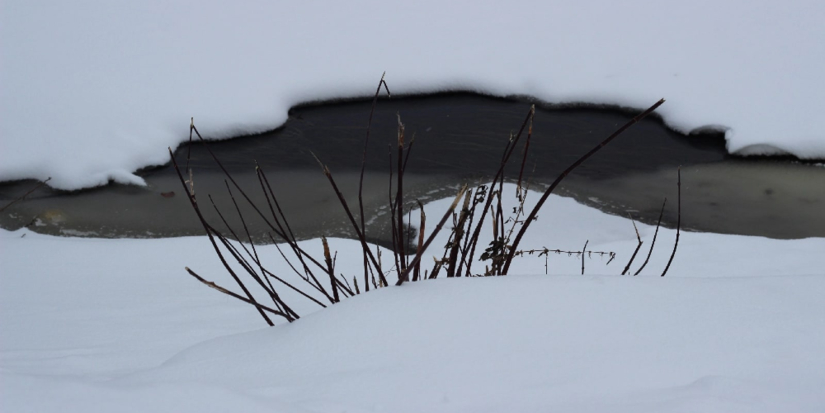 Пик весеннего половодья в Псковской области ожидается в апреле - 2026-02-10 09:35:00 - 1