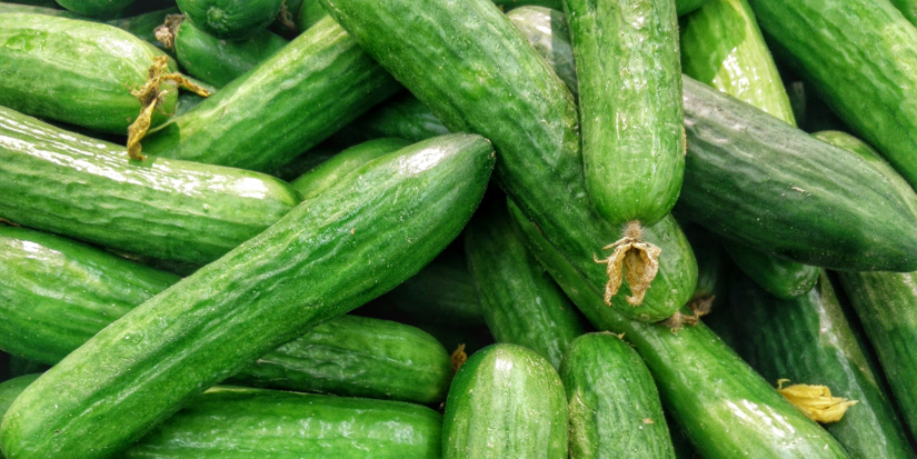 ФАС изучает подорожание огурцов - 2026-02-19 18:35:00 - 1