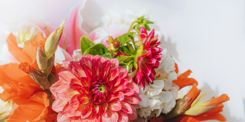 Цветочные магазины России разочарованы праздничными продажами - 2026-03-10 19:05:00 - 1