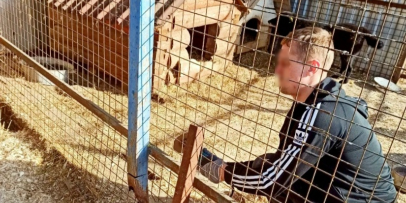 Осужденные ИЦ-1 помогли в благоустройстве приюта для животных в Великих Луках - 2026-03-25 15:35:00 - 1