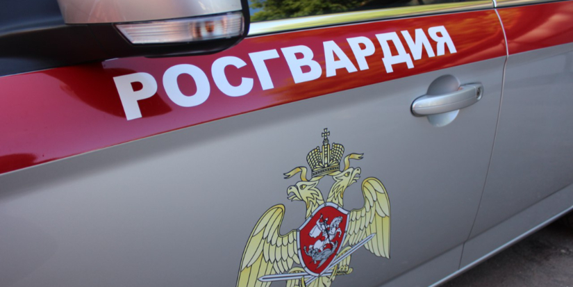 В Пскове росгвардейцы задержали подозреваемую в краже гражданку - 2026-03-31 16:05:00 - 1