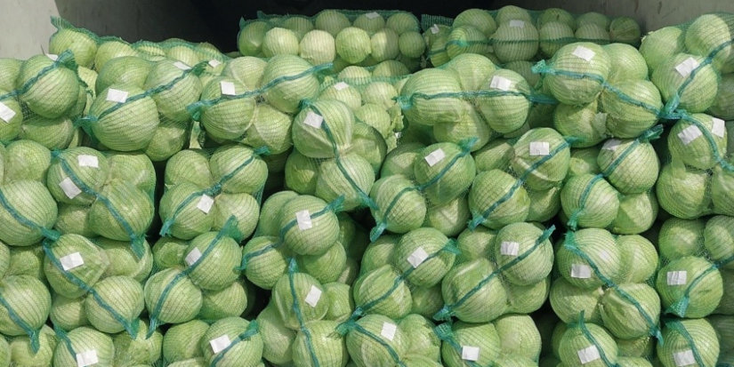 Через Псковскую область ввезли почти 430 млн цветов за месяц - 2026-04-03 17:05:00 - 1