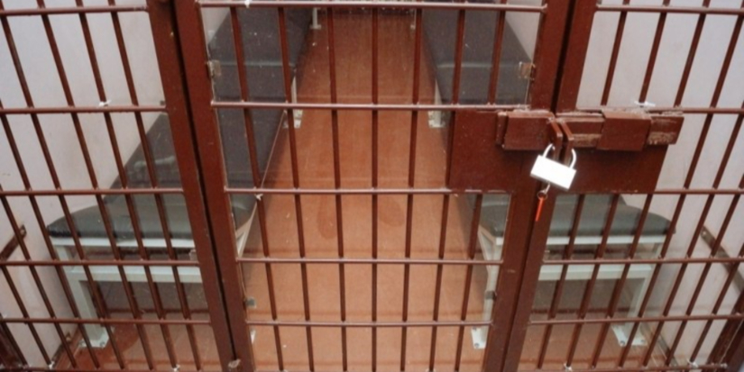 Житель Красногородского района, совершил два грабежа за 10 минут - 2026-04-09 11:05:00 - 1