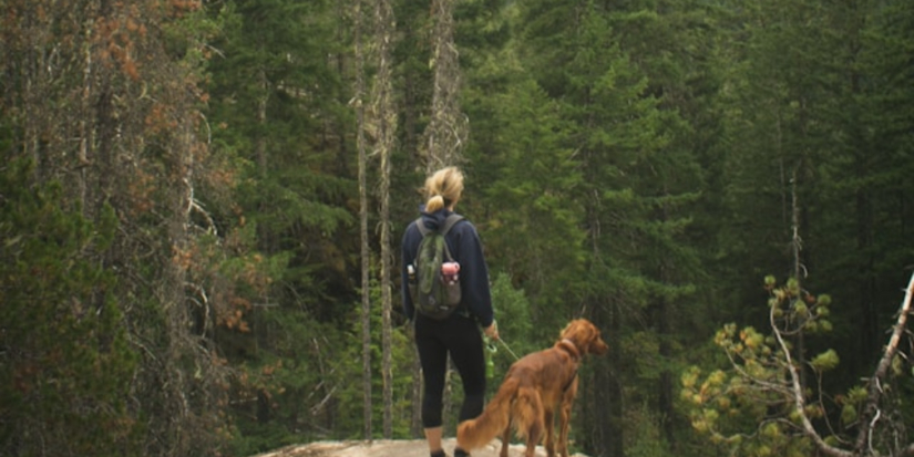 Начался отбор в студенческие экспедиции в Якутию, Тюменскую область и Карелию - 2026-04-12 11:05:00 - 1