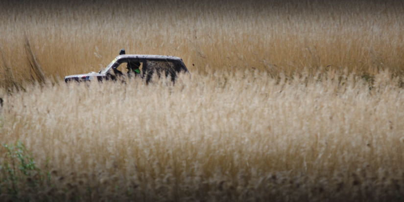 В четырех округах Псковской области ограничат движение транспорта - 2026-04-13 08:35:00 - 1