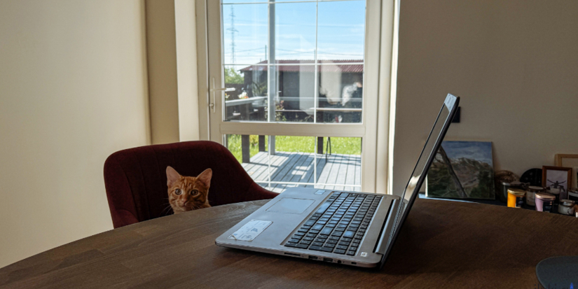 Крупные телеком-компании договорились не расширять каналы связи в сторону Европы - 2026-04-16 18:35:00 - 1