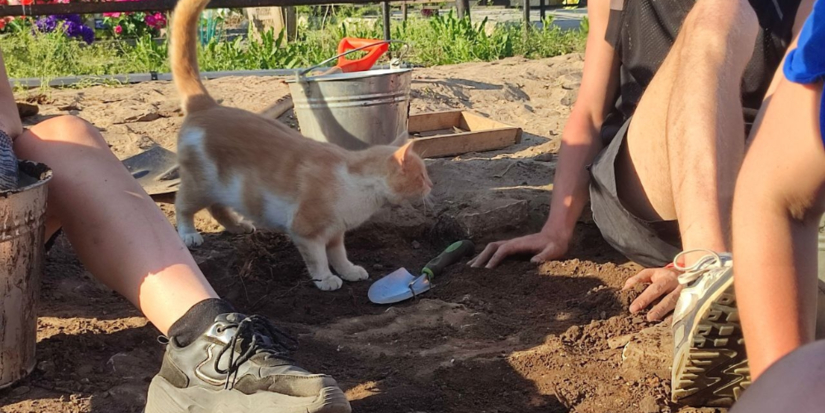 Великолучане могут принять участие в археологической экспедиции - 2026-04-23 13:35:00 - 1