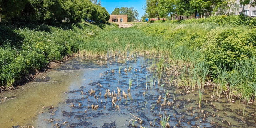 Пешеходную зону и ручей Ситовка приведут в порядок в Великих Луках - 2026-04-27 11:35:00 - 1