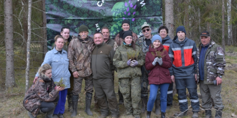 «Сад памяти» посадили в Плюсском районе - 2026-04-27 09:35:00 - 1