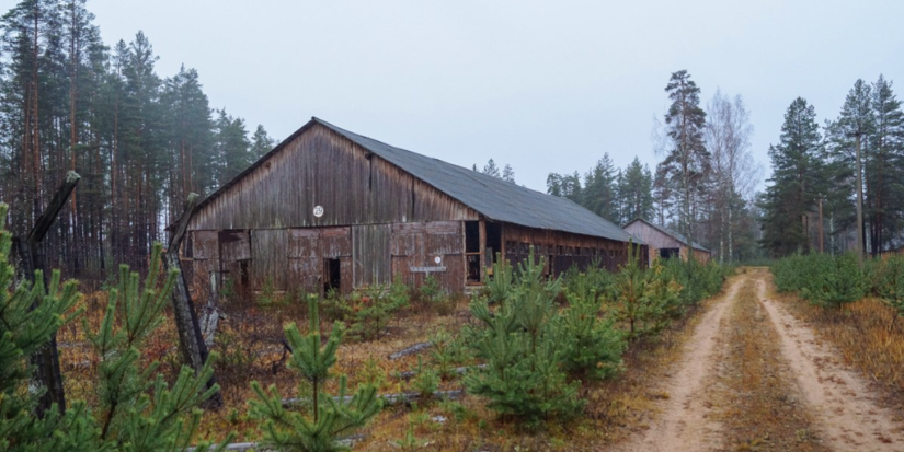 В Псковской области упразднят одну деревню, а другую присоединят к поселку - 2026-04-28 10:35:00 - 1