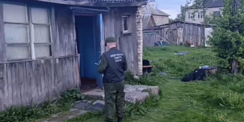 Житель Дедовичского района подозревается в убийстве отца - 2026-05-18 09:35:00 - 1