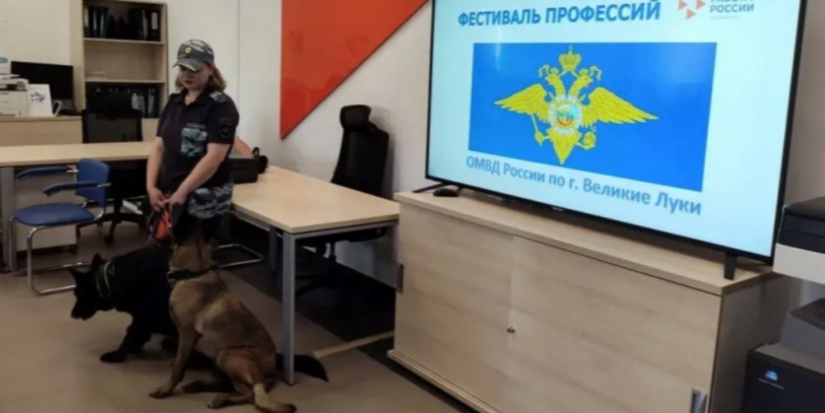 На «Фестивале профессий» полицейские рассказали великолучанам о своей работе - 2026-05-20 14:05:00 - 1