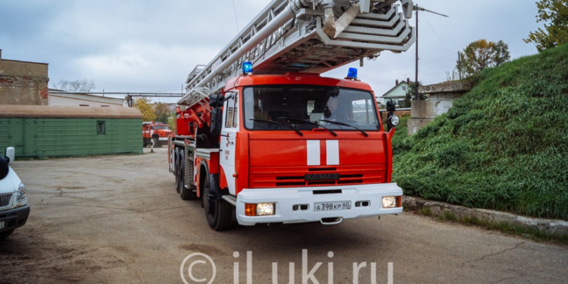Более 2 470 пожаров произошло с начала года в Псковской области - 2026-06-08 13:05:00 - 1