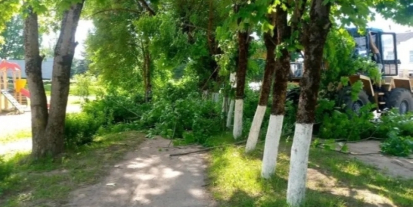 Новый облик получит Центральная площадь в Красногородске - 2026-06-12 12:05:00 - 1