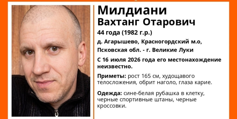 Мужчину ищут в Великих Луках - 2026-07-28 16:35:00 - 1