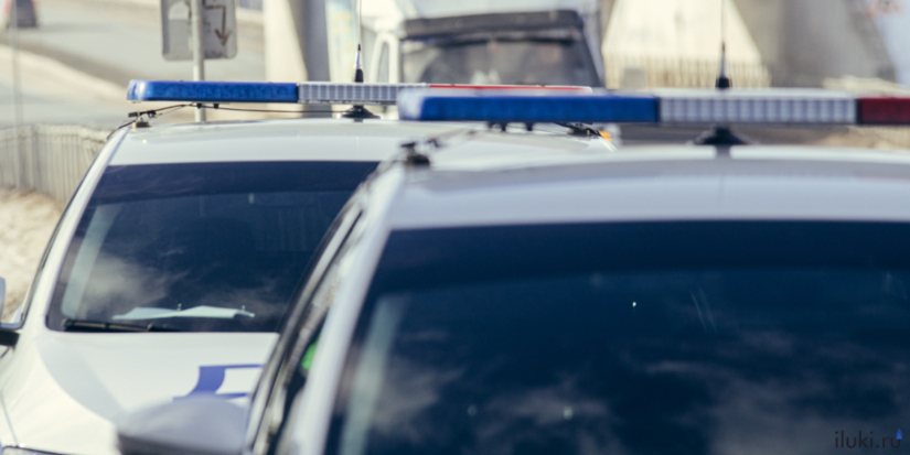 Псковичей просят помочь установить личность погибшей женщины в Беларуси - 2026-08-12 13:05:00 - 1