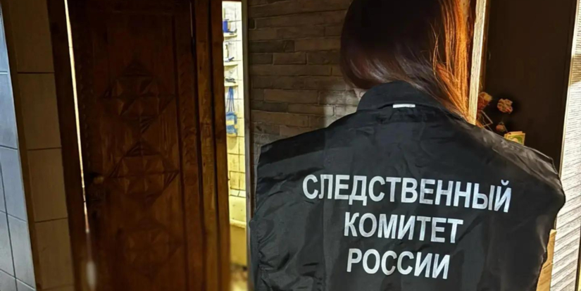 В Великих Луках мужчину обвинили в убийстве отчима - 2026-08-19 14:35:00 - 1