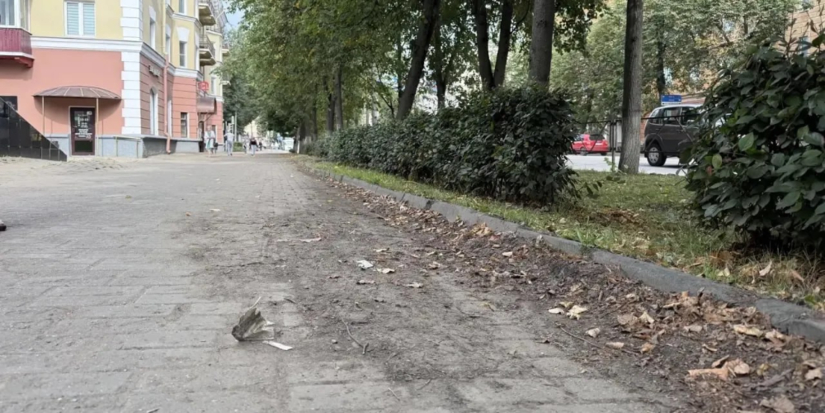 Грязь в Великих Луках раскритиковал губернатор - 2026-08-19 12:35:00 - 1