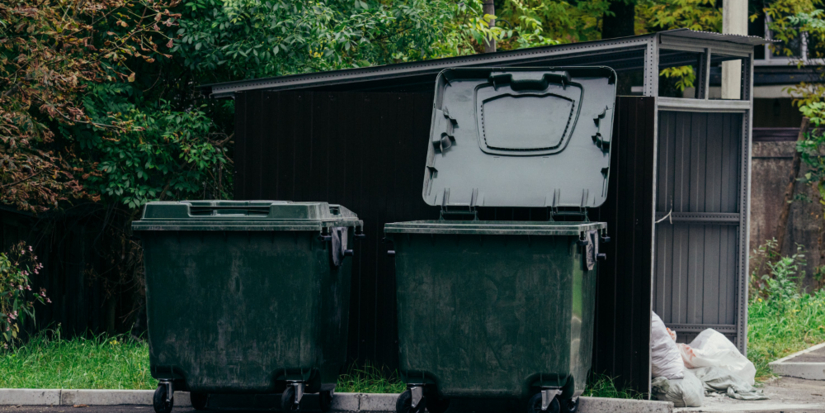 С 1 сентября вступили в силу новые Правила обращения с ТКО - 2026-09-12 15:05:00 - 1