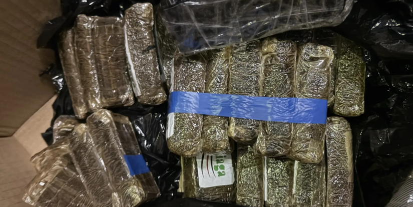 Латвиец пытался провезти через псковскую таможню 23 килограмма наркотиков - 2026-09-29 14:05:00 - 1