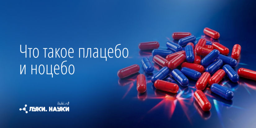 Два брата влияют на нашу реакцию на лекарства - 2026-10-15 17:35:00 - 1