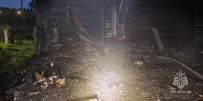 В деревне Лакомица Великолукского района сгорел жилой дом - 2024-07-25 12:05:00 - 1