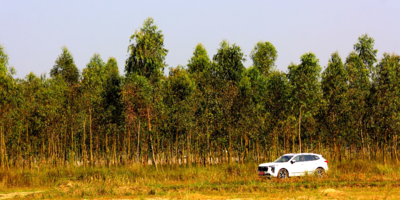 «АвтоВАЗ» не собирается возобновлять выпуск Renault Logan и Sandero - 2024-09-24 19:35:00 - 1